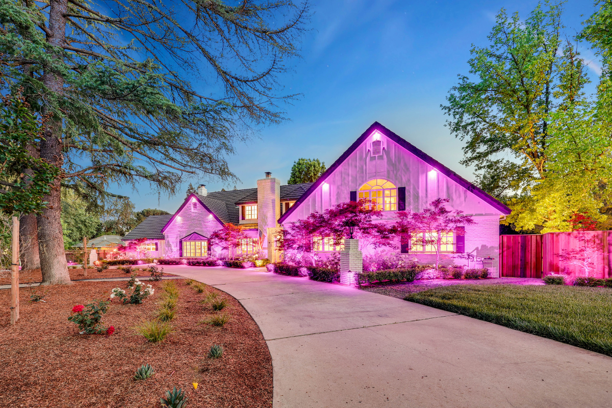 Holiday Colored Lighting