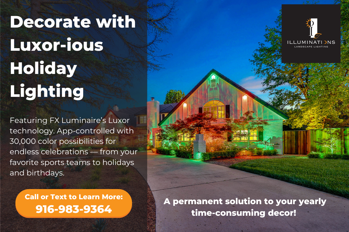 Holiday Lighting